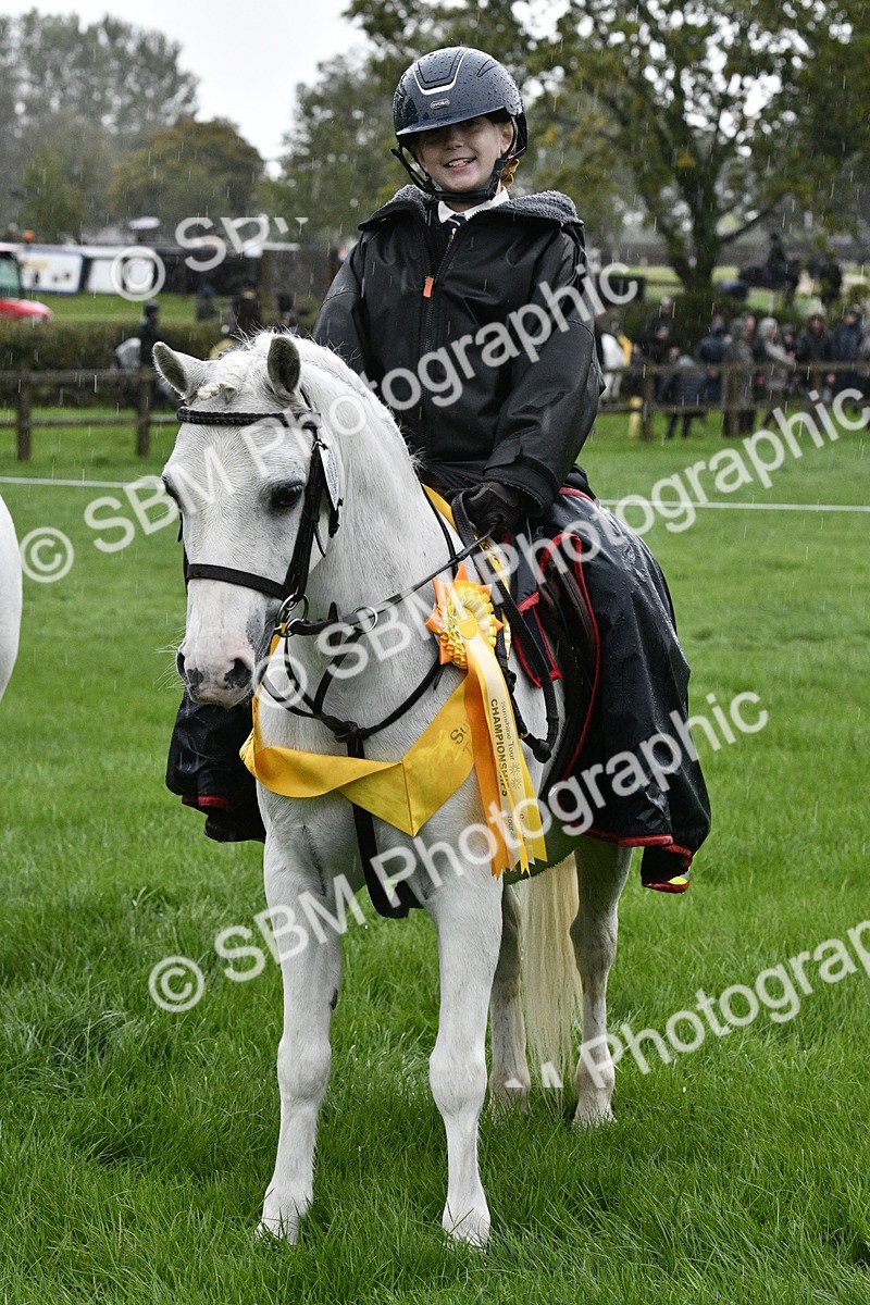 SBM_35578 - S30 - Nursery Stakes Working Hunter Pony