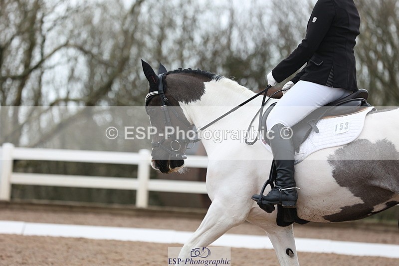 240121A-105843-01190 - Cls 6 Music Novice