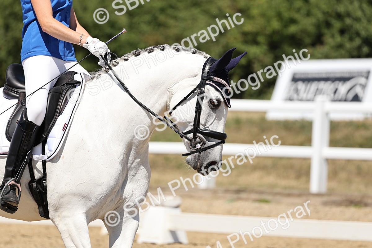 SBM_001686 - Prelim 4 - 11.25-13.24