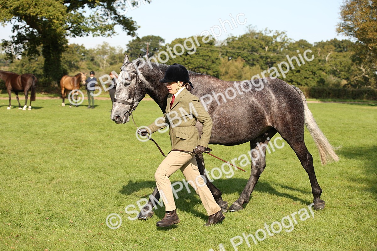 SBM_60094 - S53 - Hunter In Hand