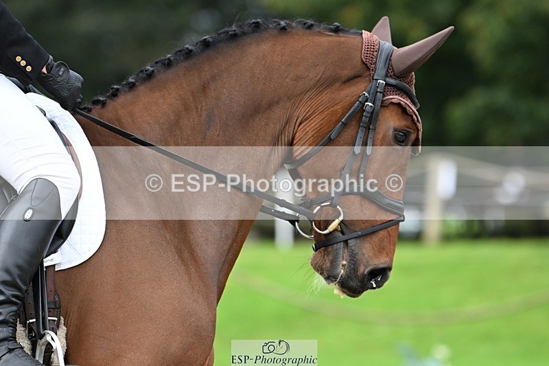 231019-113100-01828 - 039-LAUSANNE.W-Charlie.Ahl-DR