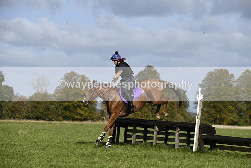 _DSC6228 - Time 11:23 to 12:05