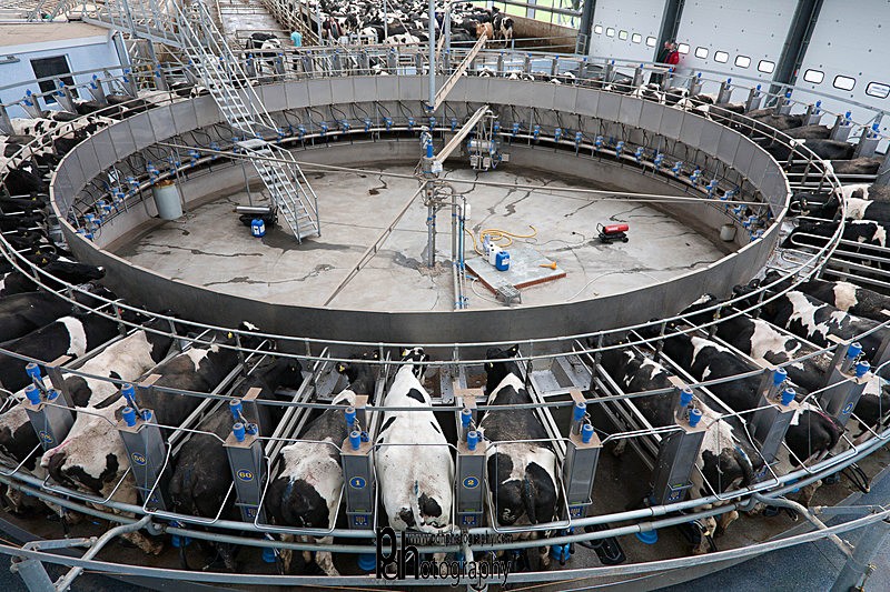Milking Parlour - 28 - Products