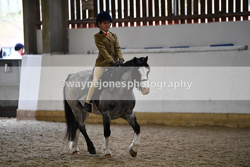 WJ5_6883 - Class 10 Childs Pony