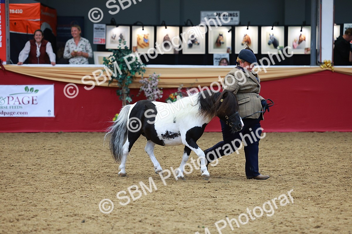 SBM_04233