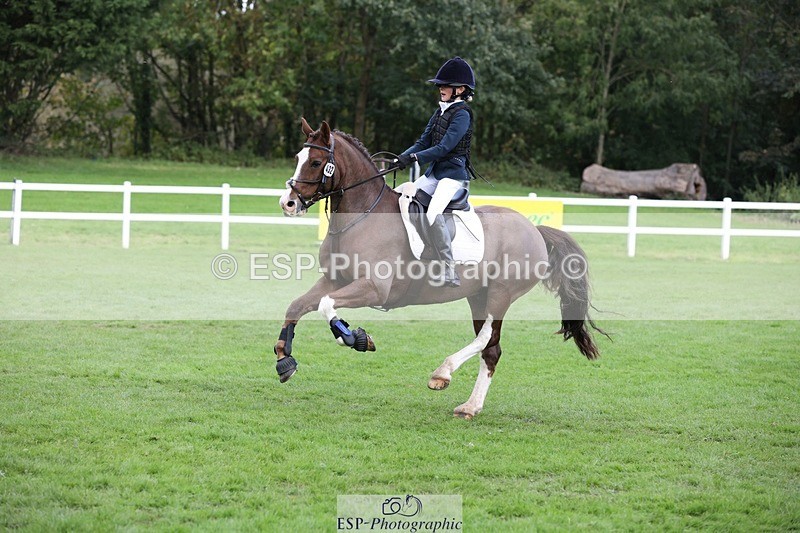 231022-132433-27694 - 432-DALEY-Oona.Gowan-TrotUp+SJ