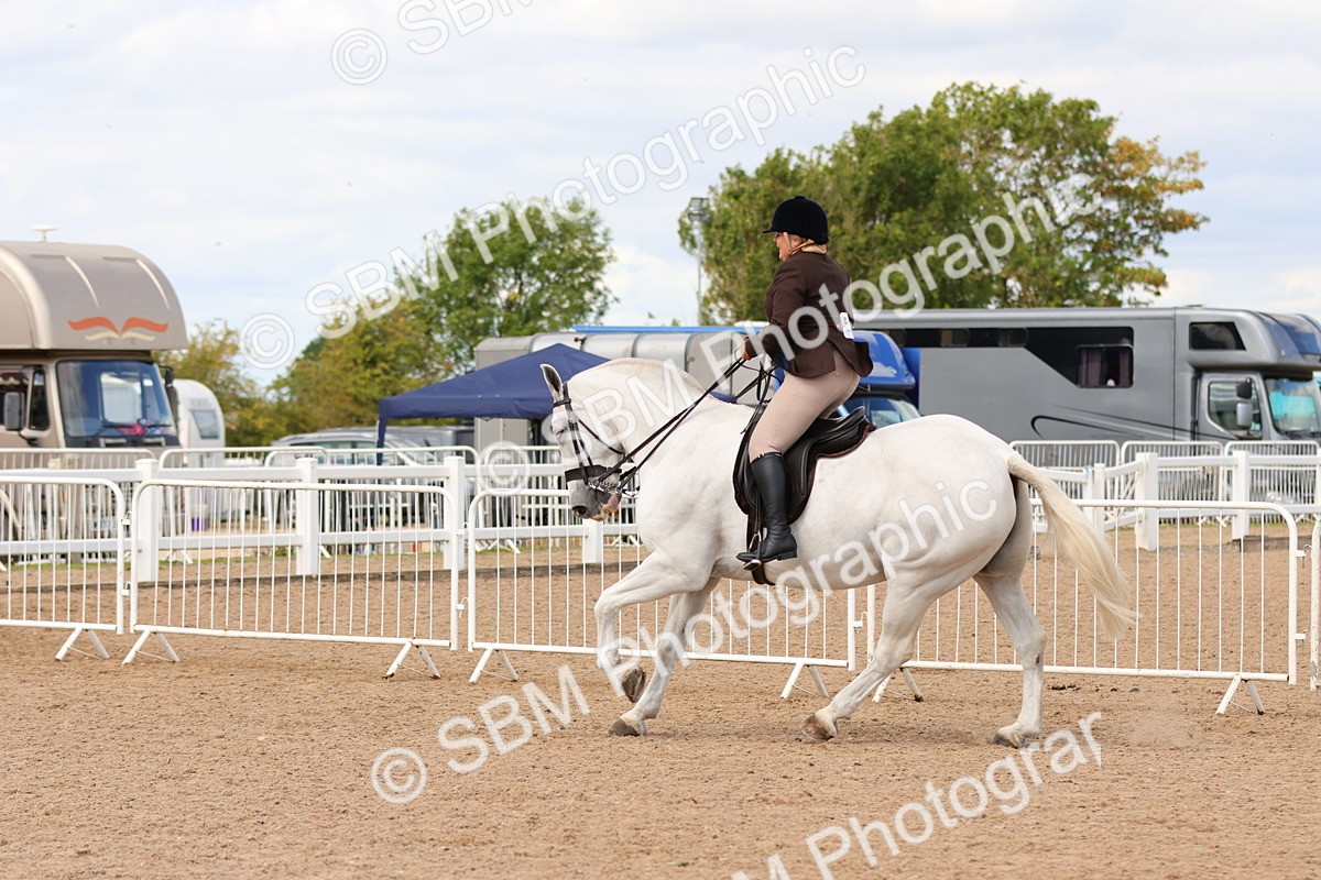 SBM_15496 - Class 214 - Ridden Show Cob