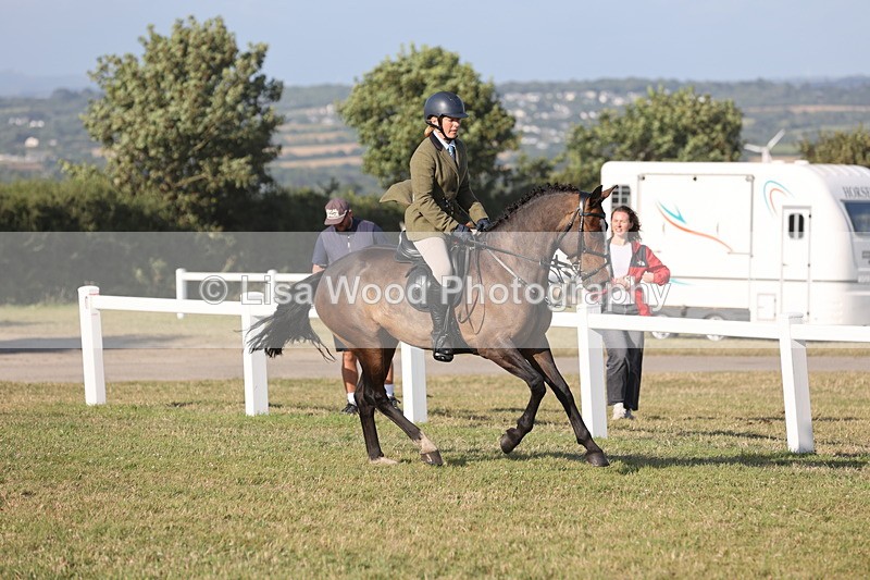 JPP_3283 - Class 21: Working Hunter 80cm