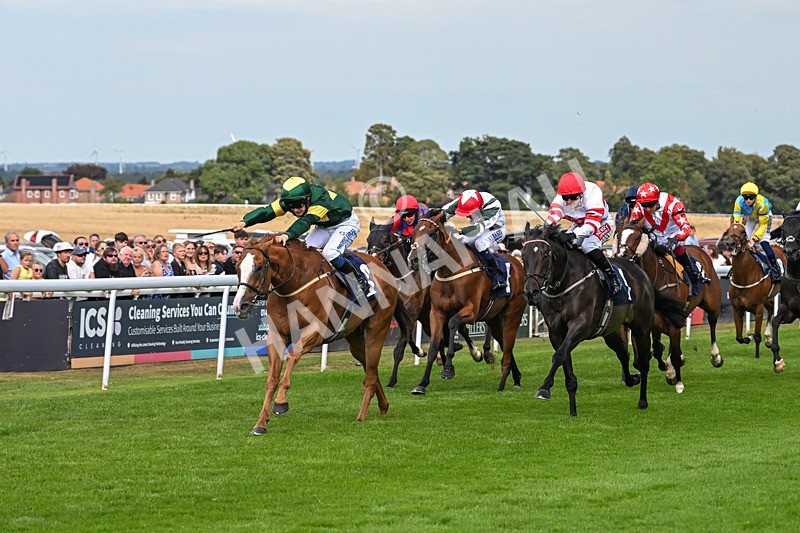 130825-Race 4-Rock Of England-1236 - Race 4