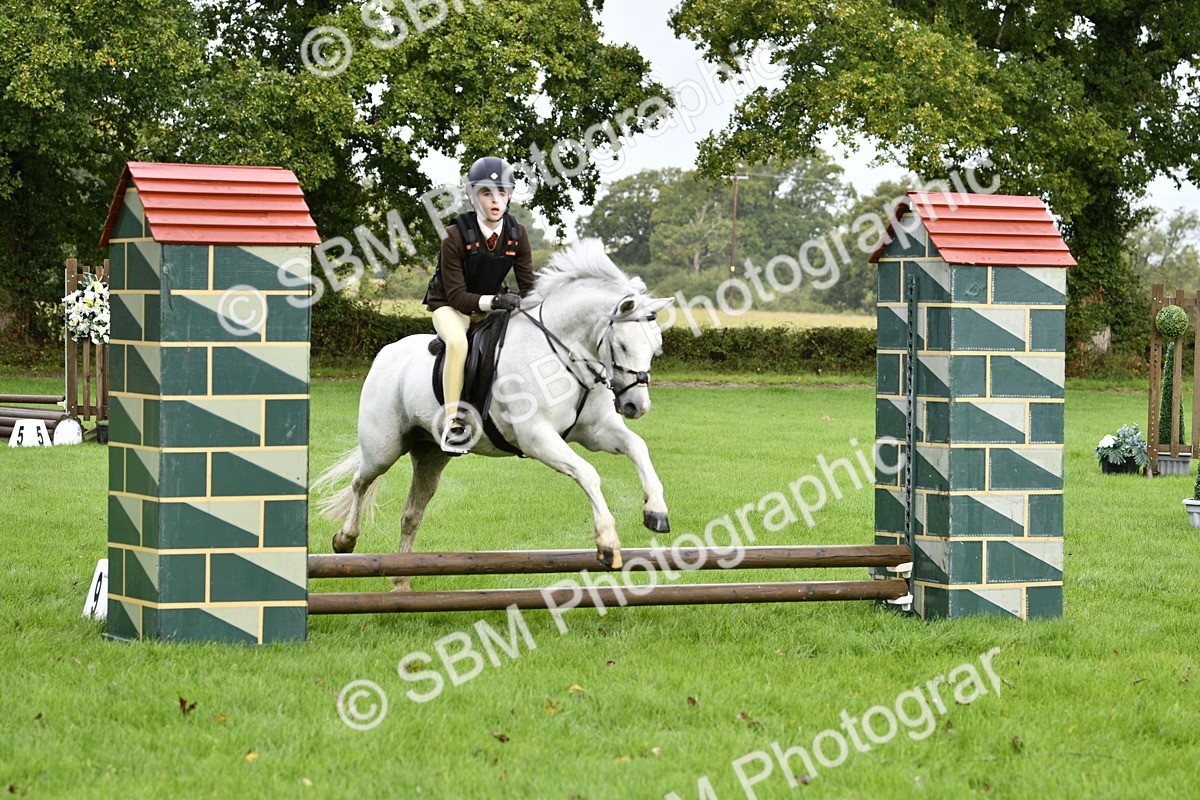 SBM_35433 - S30 - Nursery Stakes Working Hunter Pony
