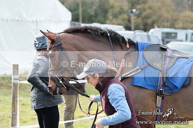 PtP 220225 145 - Kimblewick Point-to-Point  Kingston Blount 22/02/25