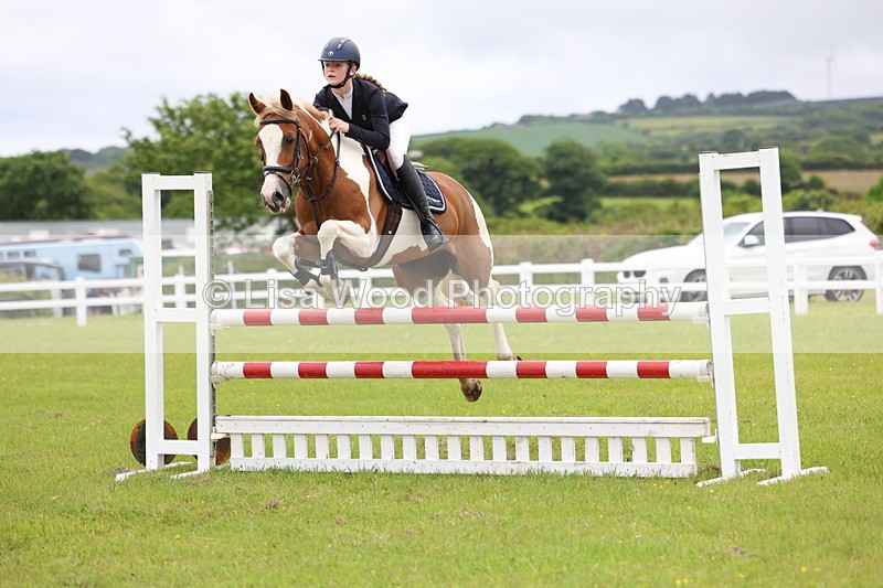 3E7A6695 - Class 10: Pony Newcomers/1m open