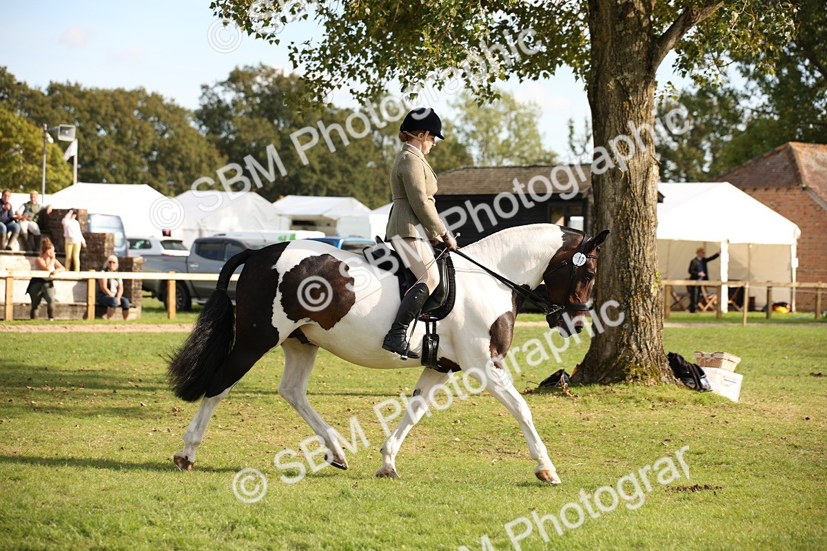 SBM_50183 - S26 - Young Veteran - Ridden