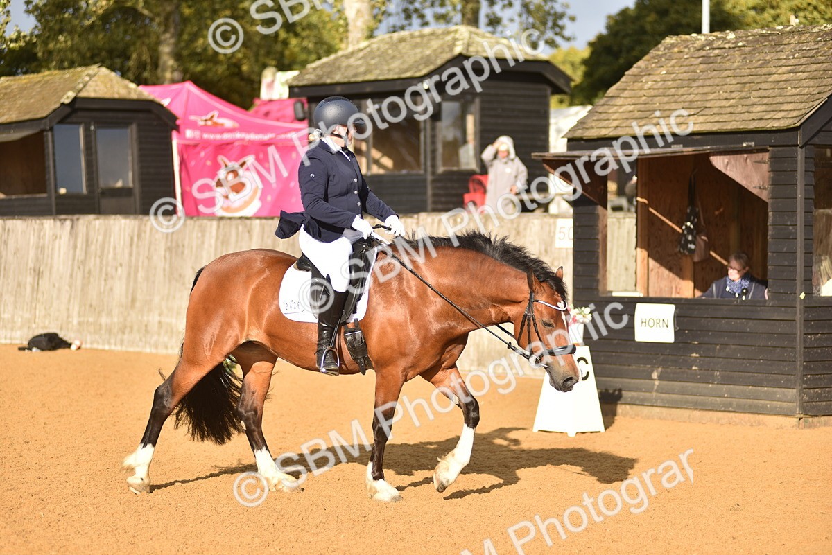 SBM_29670 - D16 -Small Tour Championship Novice 2