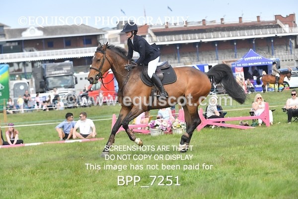BPP_7251 - CLASS 3 Andrew Hamilton Coach, RHS Foxhunter Championship Qualifier