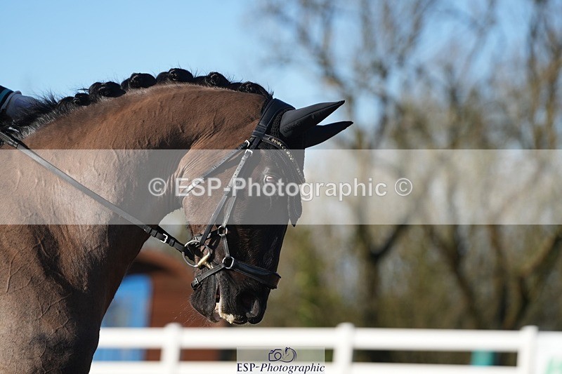 260215-145215-06906 - 064-Kelsey.Dyer