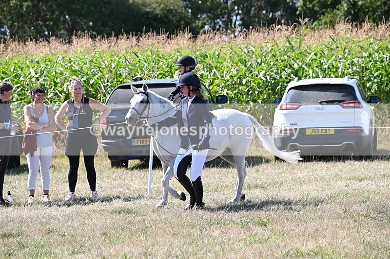 WJ6_8012 - Class 36 Lead Rein