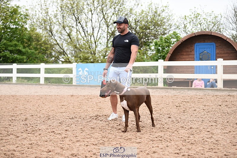 240518A-122604-01167 - Cls 4 Best Crossbred