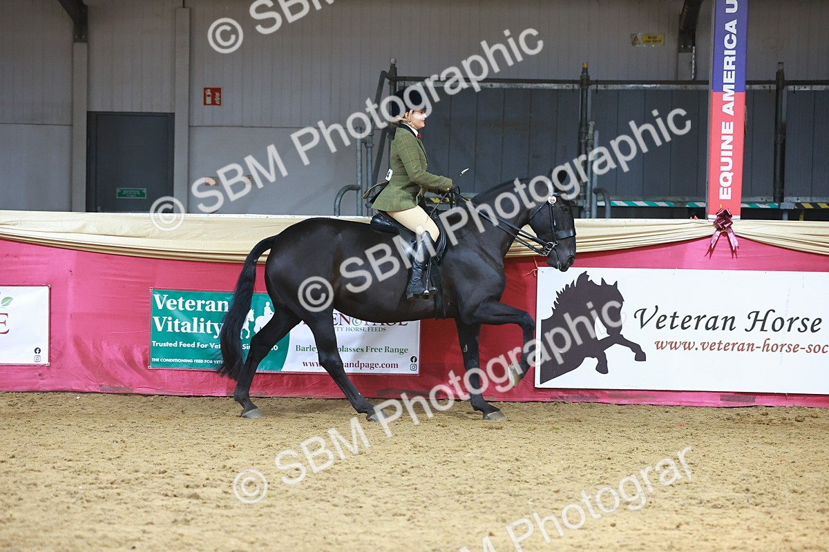 SBM_12734 - HOYS Veteran Qualifier - Ridden Champ