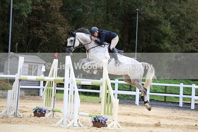 3E7A3340 - Class 9: Senior Foxhunter/1.20 open