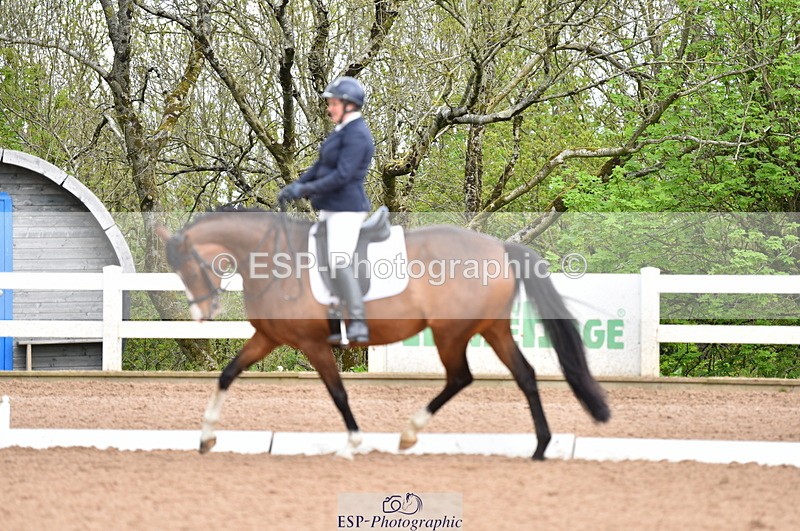 230511A-110331-00381 - BD Cls 5 Novice 37A