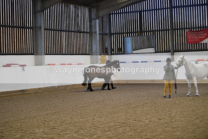 WJ5_3574 - Class 5 In Hand Veterans