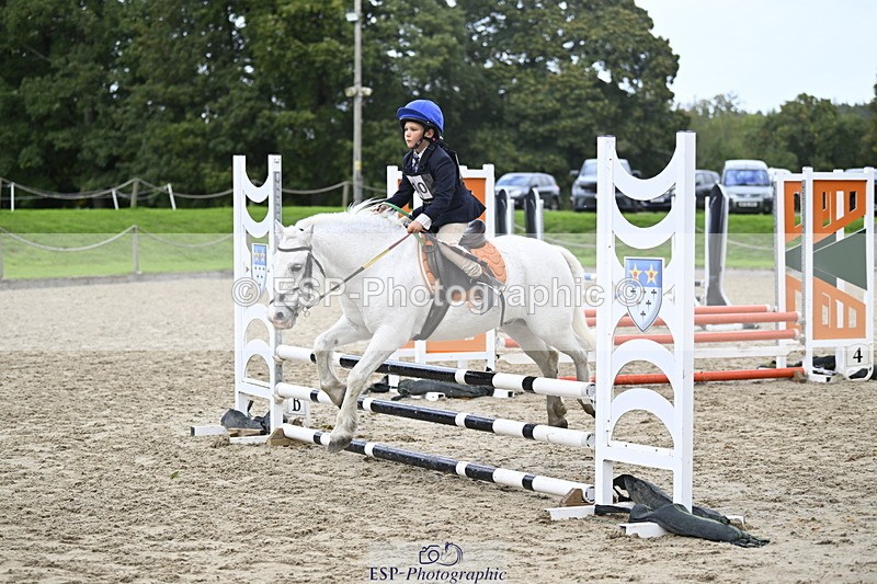 251005A-120629-03605 - Cls 08 Mini 70-75cm