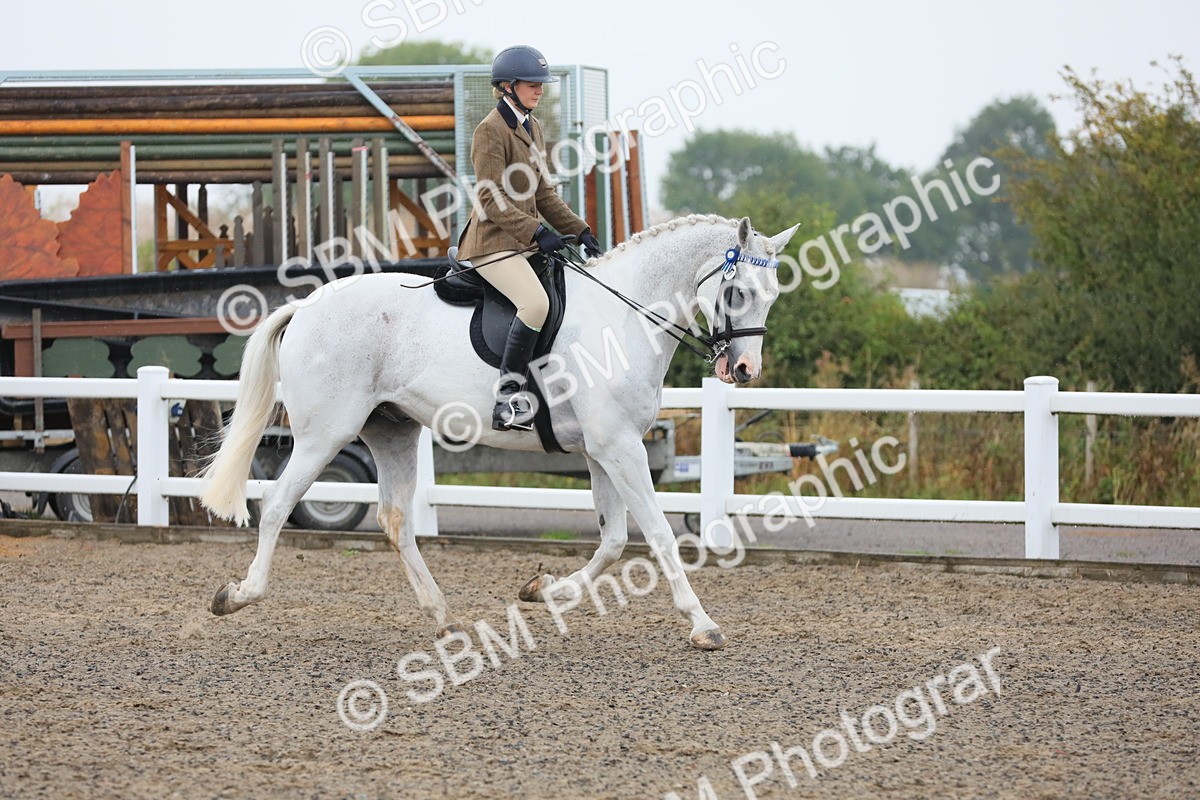 SBM_20008 - Class 802 - Ridden Groom - Helpers class
