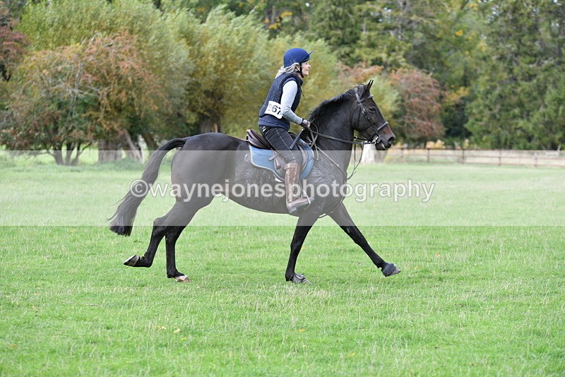 WJ5_0189 - Time 13:25 to 13:58