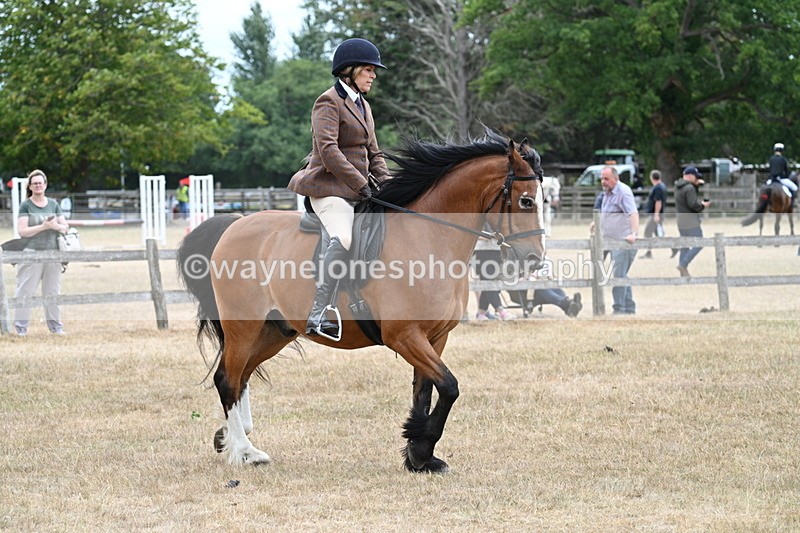 WJ7_0566 - Class 6 Ridden Mountain and Moorland