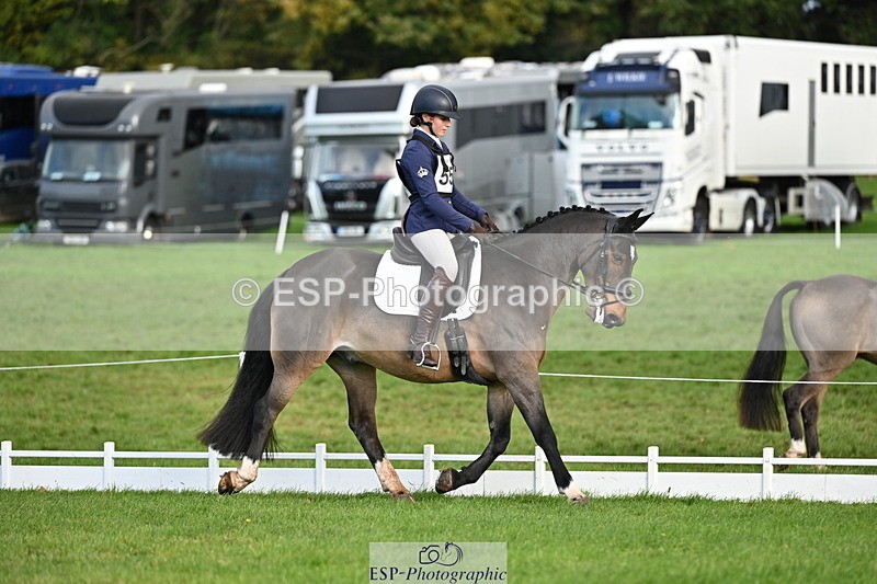 251024A-102018-08290 - G-555-Molly.Swain