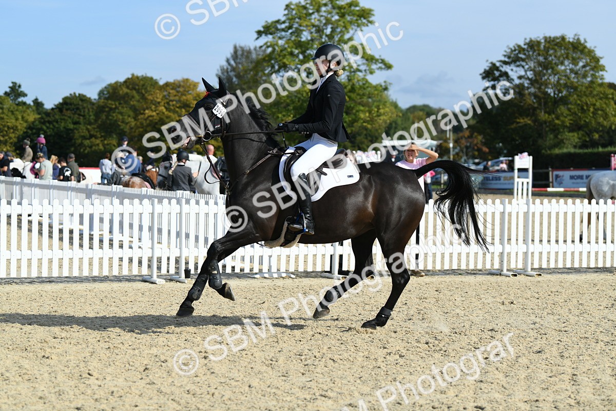 SBM_61538 - j25 - Junior Horse 80cm Championship