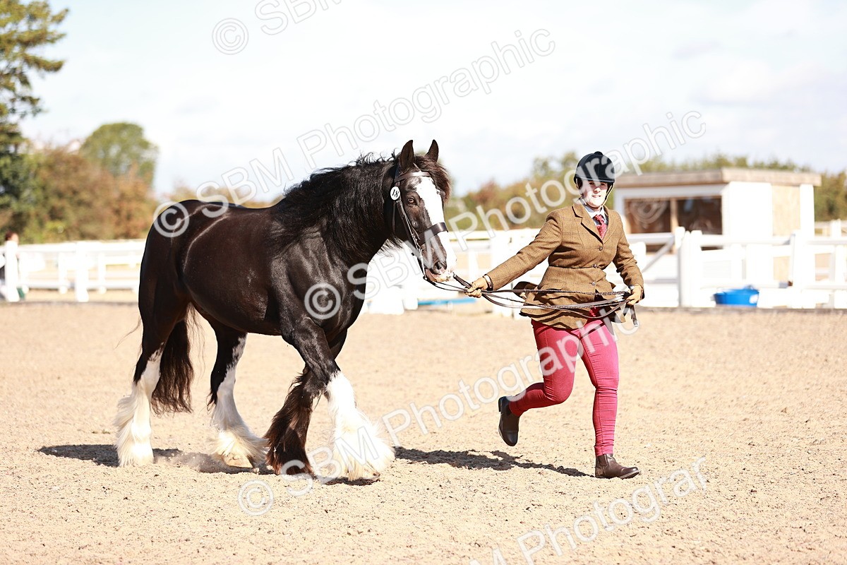 SBM_12613 - Class 404 - IH Traditional - Native Cob