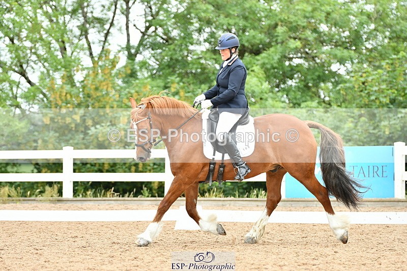 230630A-115018-01702 - Cls 7 Elementary 45