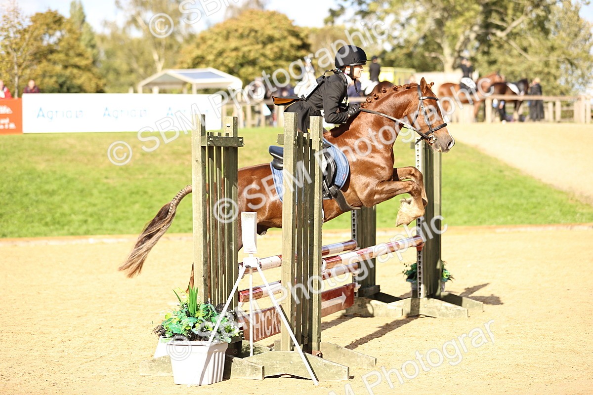SBM_51458 - J10 - Junior Pony 75cm Championship