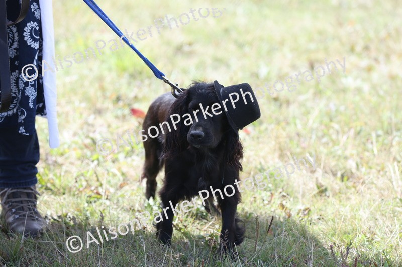 20250831-3455 - Class 26 - Fancy Dress