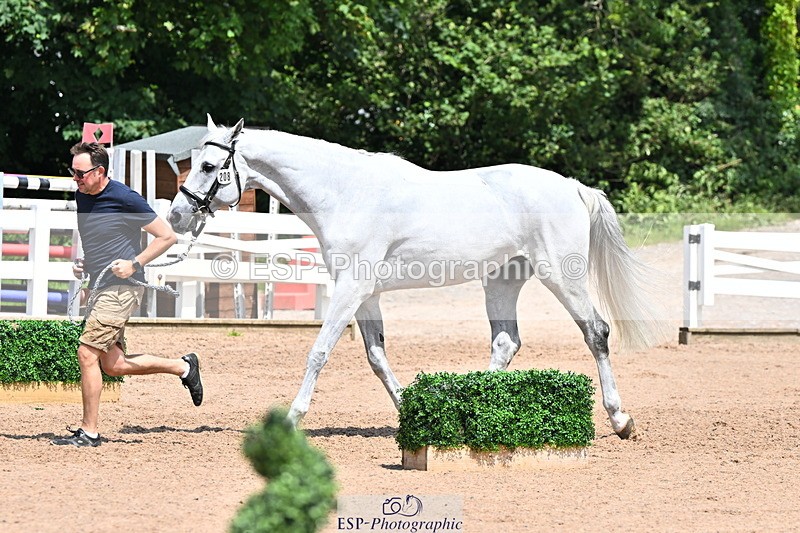 240718A-105318-01817 - Trot Up 1pm to 2pm