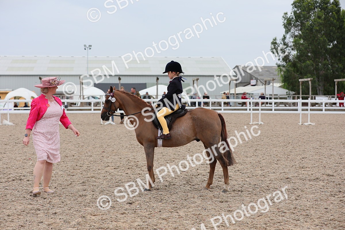 SBM_18126 - Class 316 Best Pony/Rider Combination