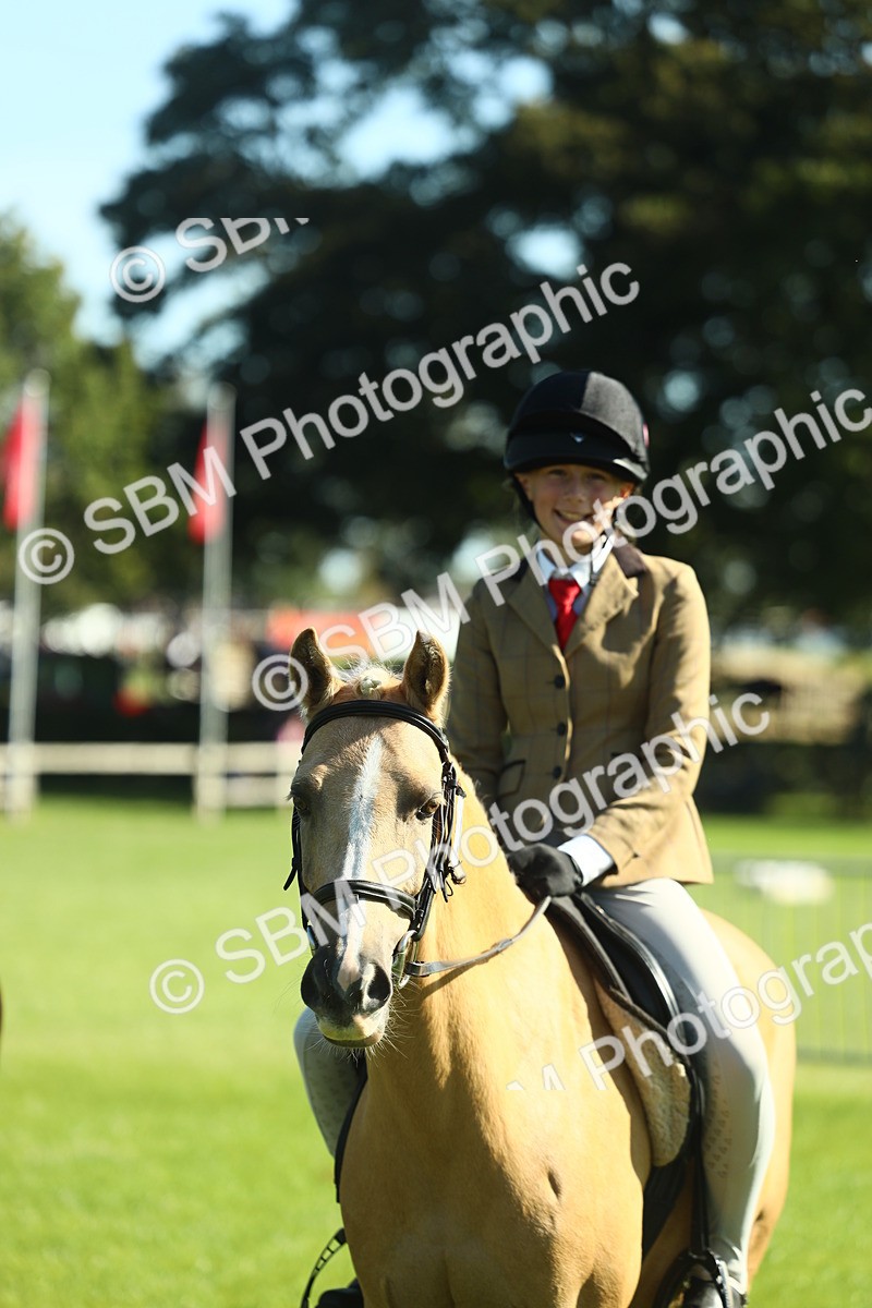SBM_39048 - S29 - Novice & Newcomers Working Hunter Pony