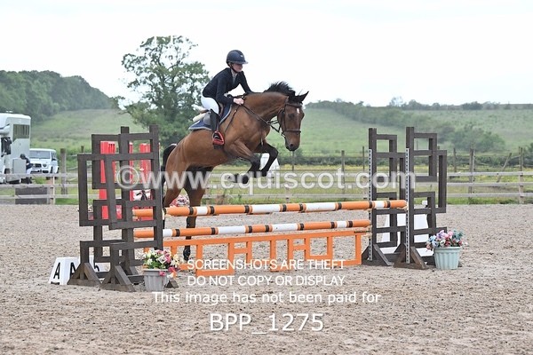 BPP_1275 - CLASS 10 SAT Senior BritiNovice/ 90cm Open
