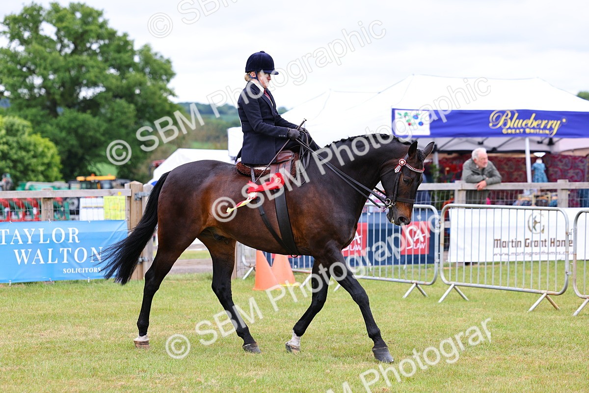 SBM_02866 - Class 9-11 Side Saddle including LIHS Rising Star Ladies Show Horse