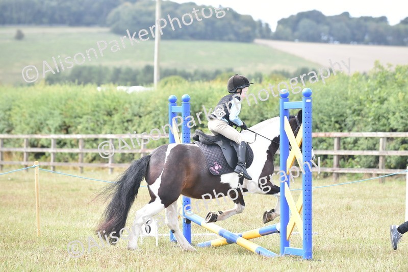 20250831-1822 - Class 8 - Hoof and Foot