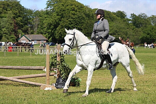 IMG_4189 - Working Hunter