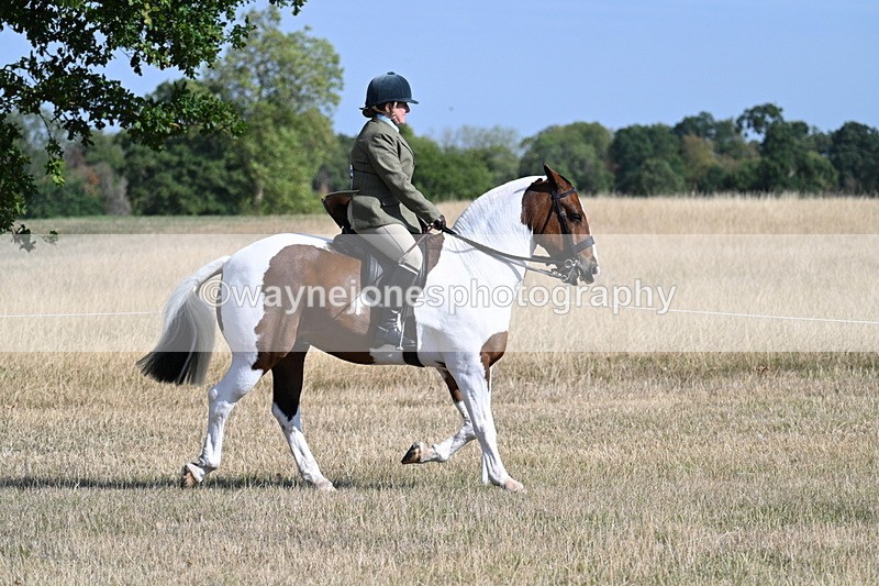 WJ7_2797 - Class 8 Ridden Tack & Turnout