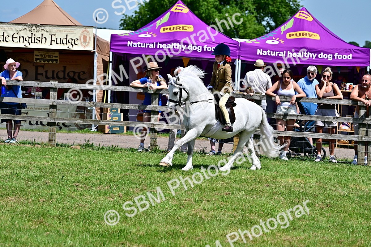 SBM_06086 - Class 59-60 - TSR M&M  Lear Rein and First Ridden Amateur of the year