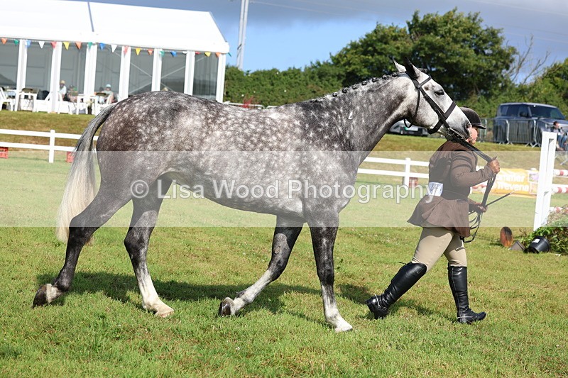 3E7A9100 - Class 3: Rising Star S/L Hunter