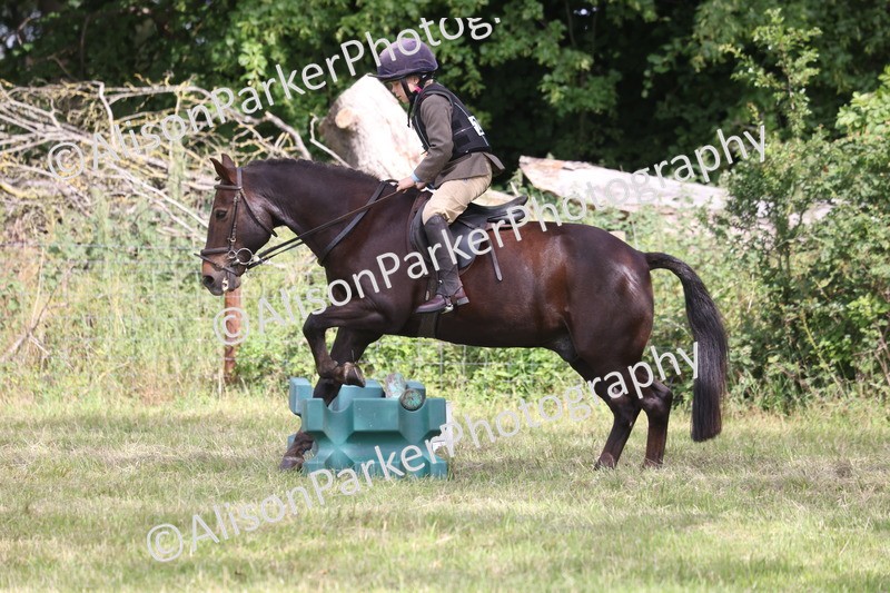 20260614-0516 - Class 20 - Beginners Working Hunter Pony