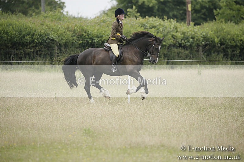 B230619-0549 - Bourne Valley Riding Club Summer Show 23/06/19