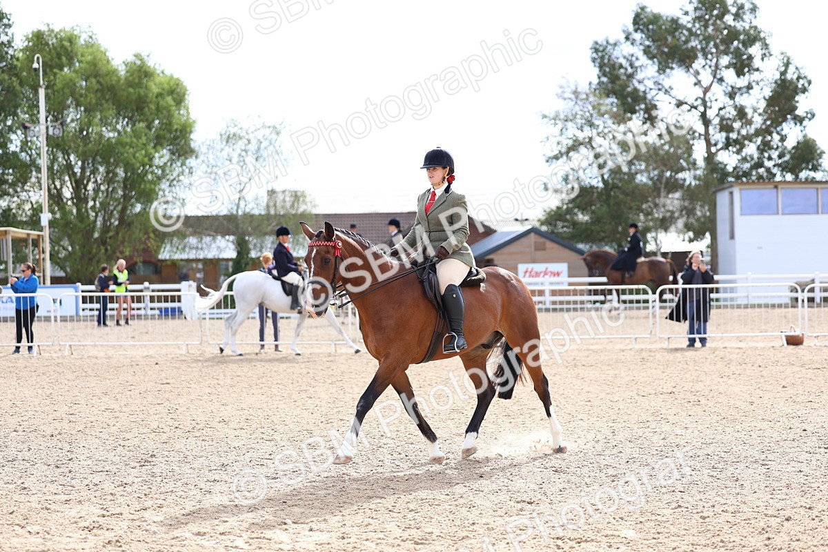 SBM_10056 - Class 304 - Ridden Part Bred Horse Pony