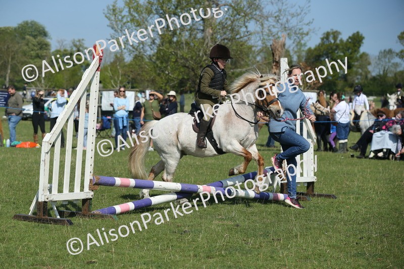 20250427-1097 - Class 1 - Mini Jumping Lead Rein or Assisted